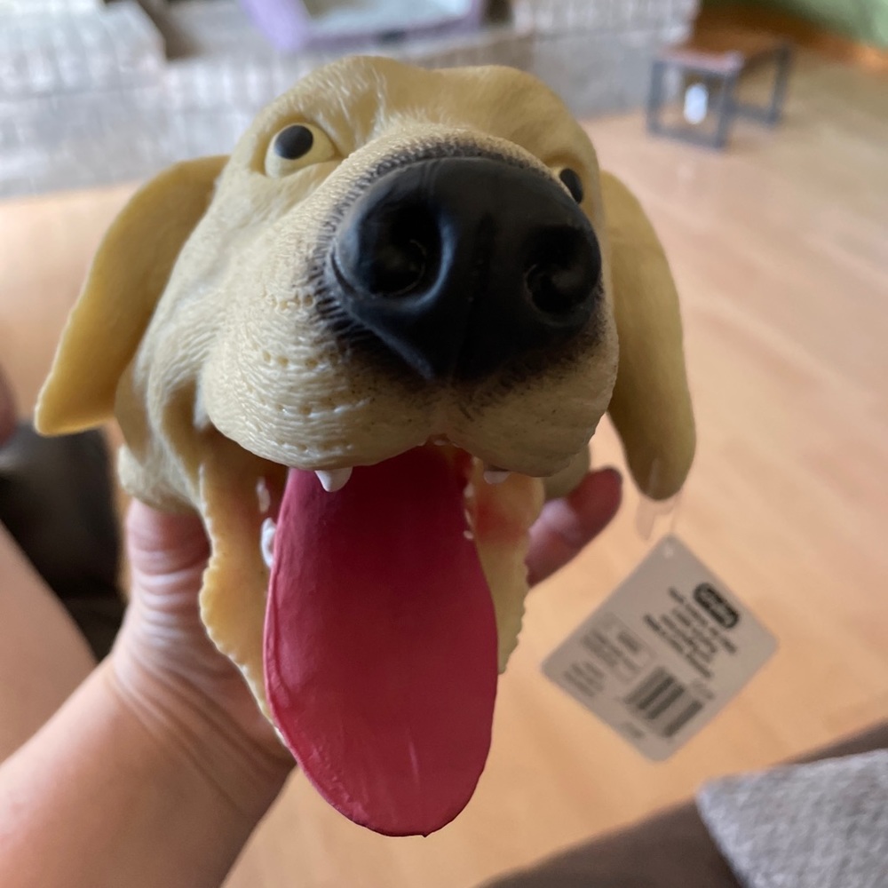 Lab puppet!!!